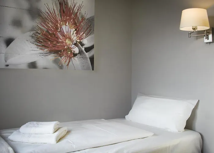 Отель Lindenau 3*